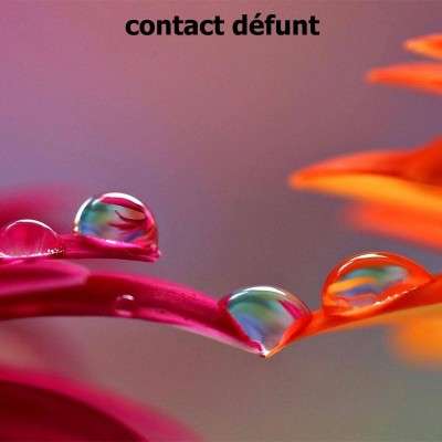 Contact Défunt