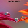 Contact Défunt - 1